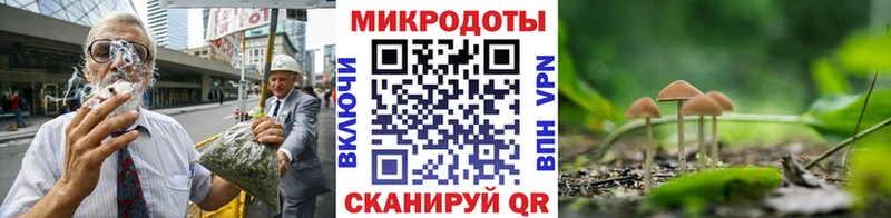 Галлюциногенные грибы GOLDEN TEACHER  Купить закладки  Краснокамск 